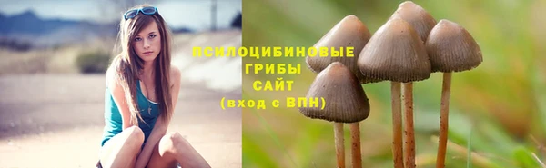 марки lsd Алзамай