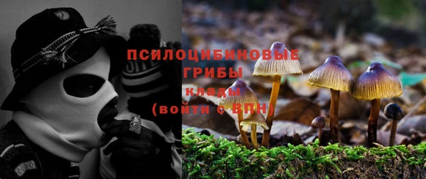 кокаин колумбия Алексин