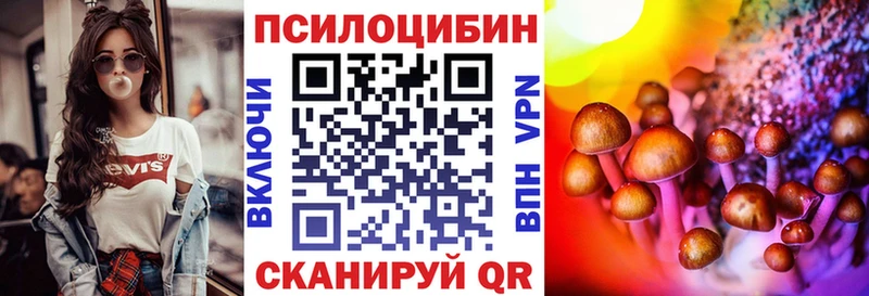 Псилоцибиновые грибы Psilocybe  Шацк 